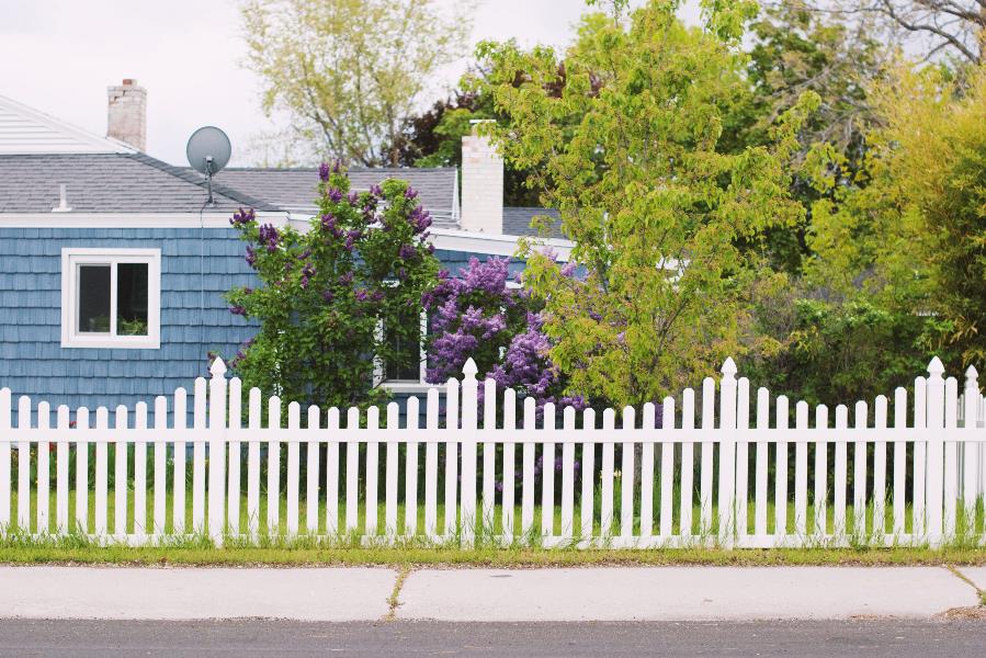Fence - white Fence - white