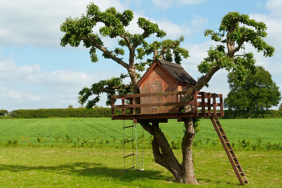 Dream Tree House Dream Tree House